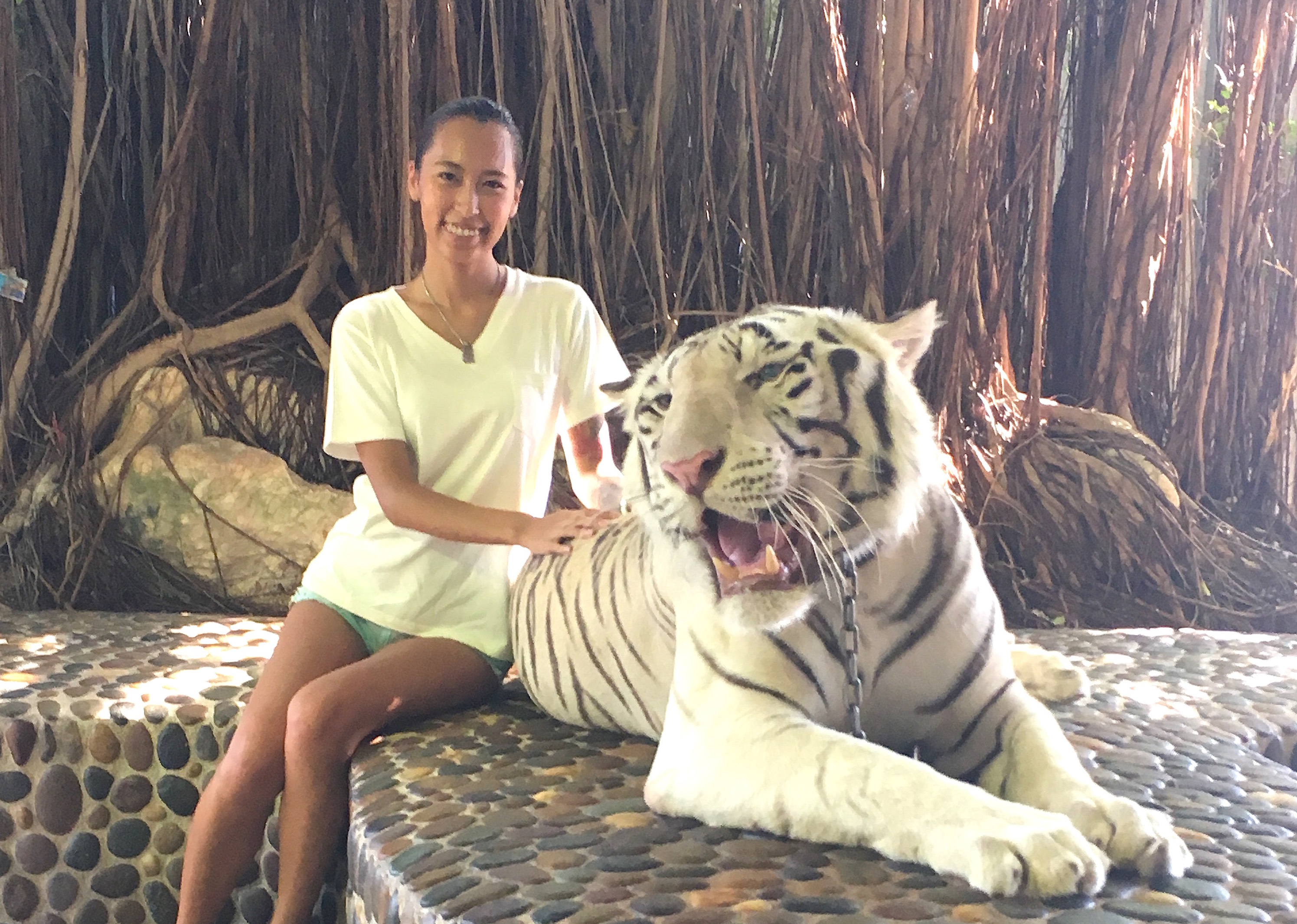 タイでホワイトタイガーに会える パタヤのミリオン イヤーズ ストーンパーク 絶景in 国内 海外旅行記
