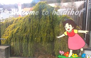 マイエンフェルトのおすすめホテル　ハイジホフ