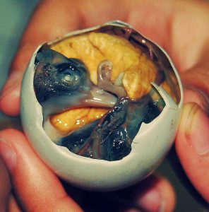 閲覧注意 海外で食べた最も衝撃的な料理 孵化寸前の卵を蒸した バロット 絶景in 国内 海外旅行記
