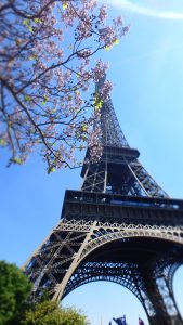 3月・4月におすすめの海外旅行先