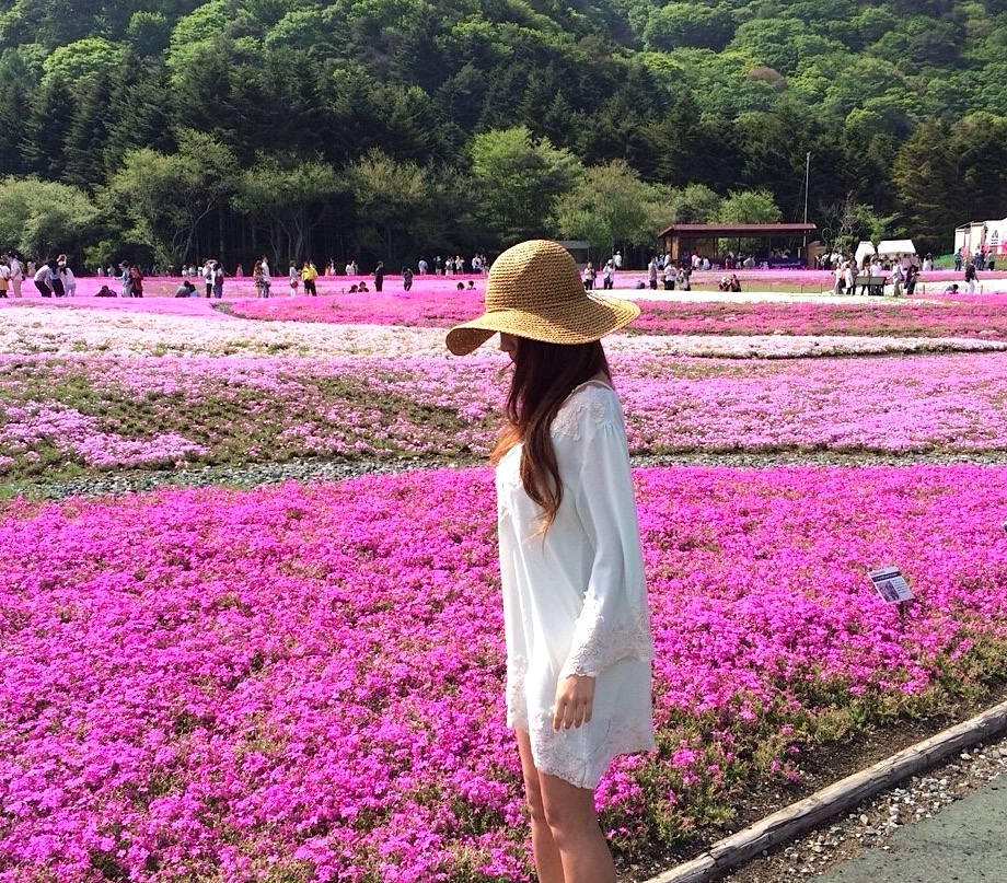 芝桜が綺麗 山梨旅行