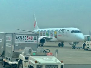 JAL　ブログ　搭乗記