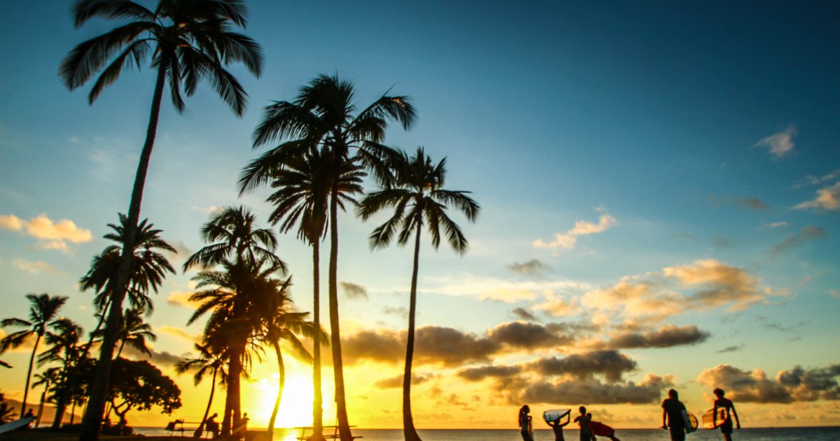 ハワイに月3万円で住む方法 海外での生活費が安くなる Wwoof とは 絶景in 海外旅行記