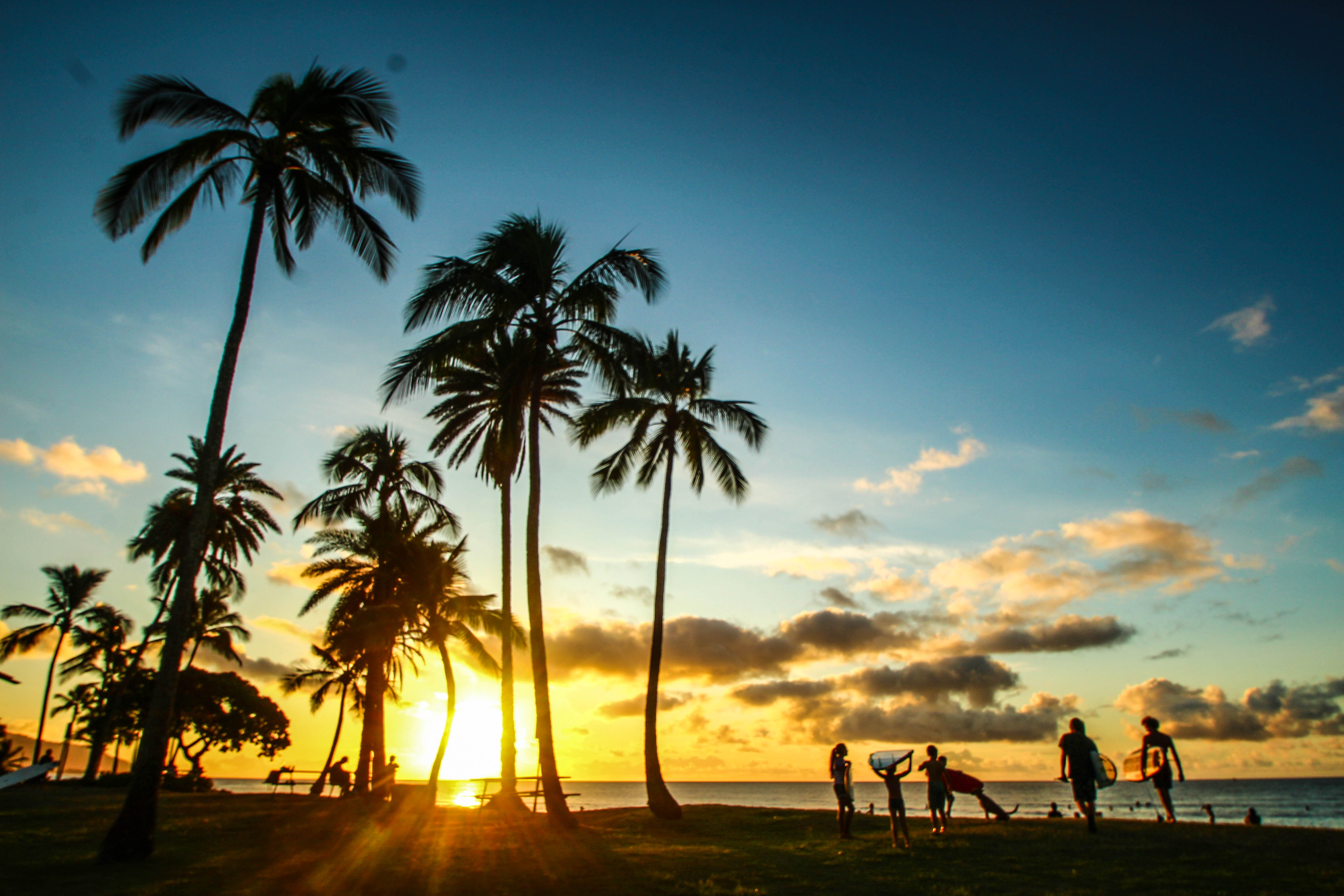 ハワイに月3万円で住む方法 海外での生活費が安くなる Wwoof とは 絶景in 国内 海外旅行記