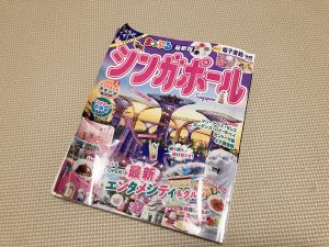 子連れシンガポール 持ち物