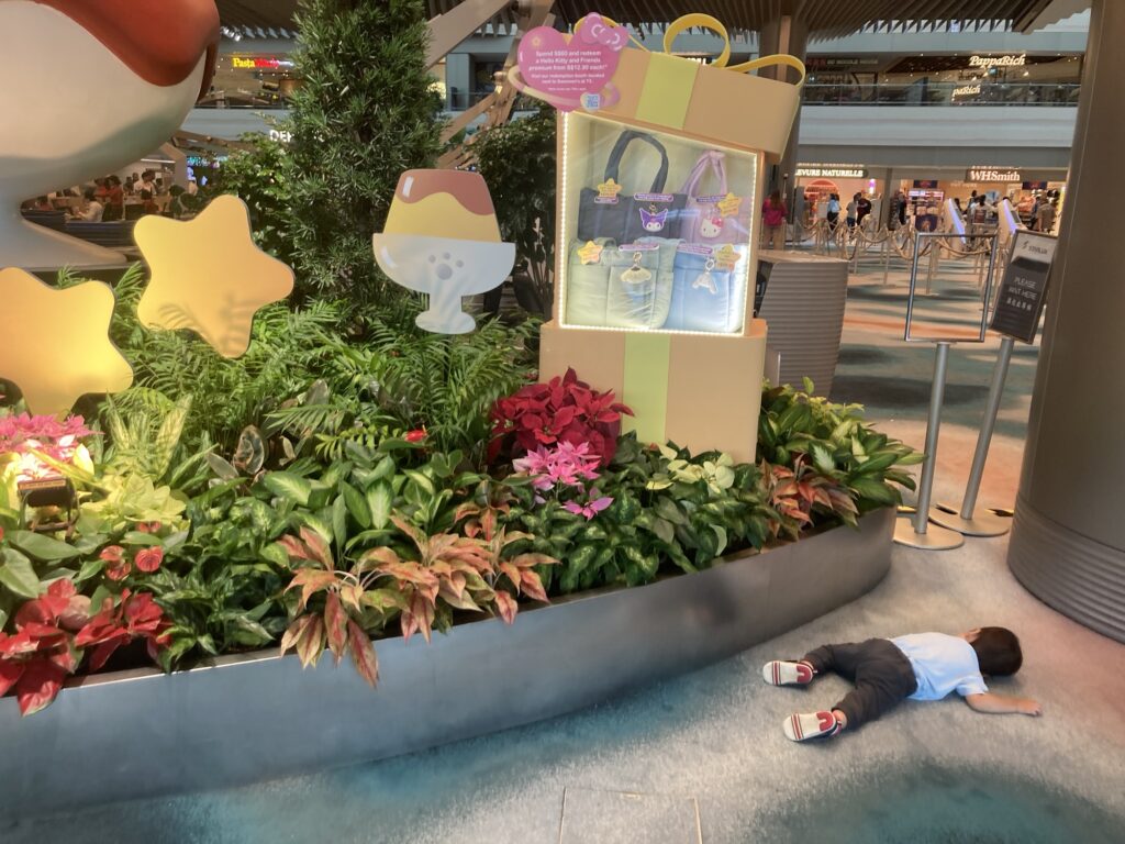 2歳 海外旅行 大変
