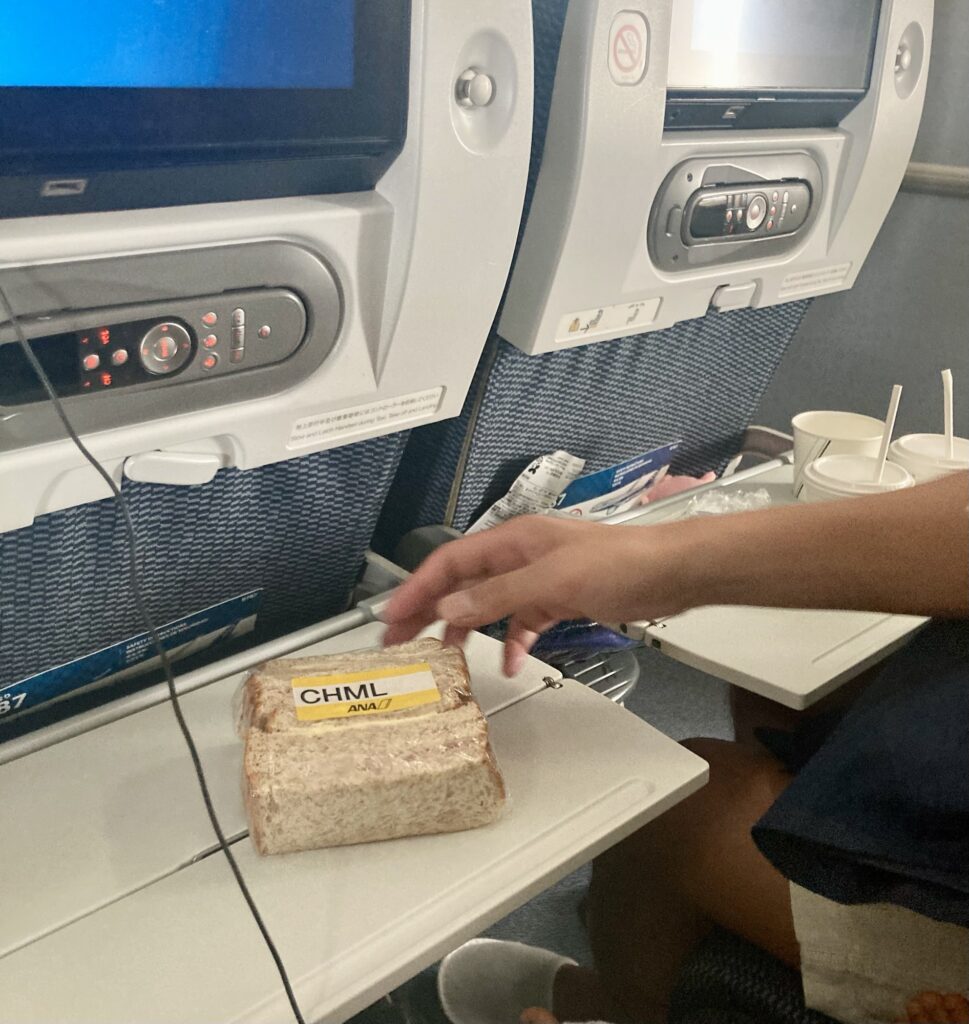 ana 国際線 子供機内食