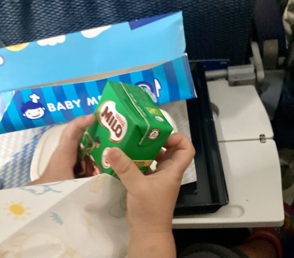 ana 国際線 機内食 ベビー