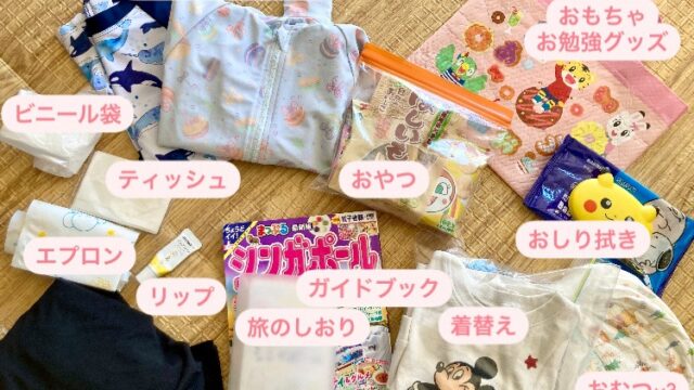 子連れ 飛行機 持ち物