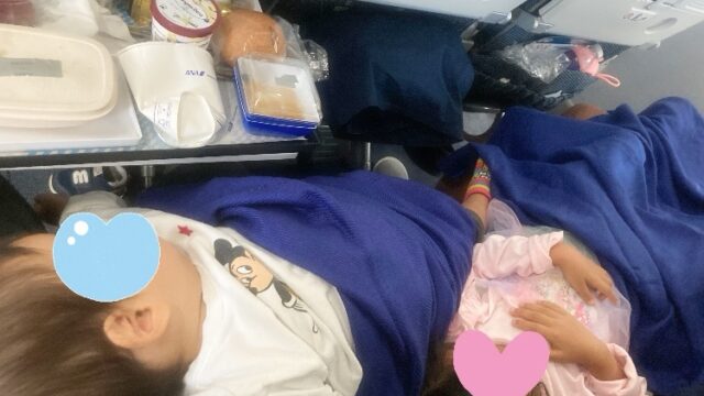 ana 子連れ 国際線