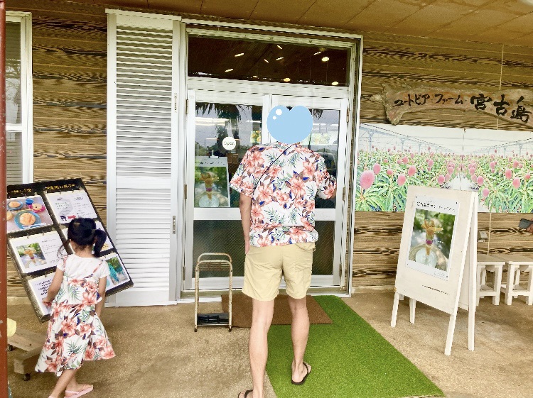 宮古島 お土産 レア