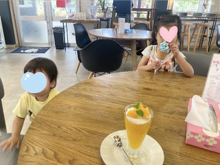 宮古島 マンゴー農園 おすすめ