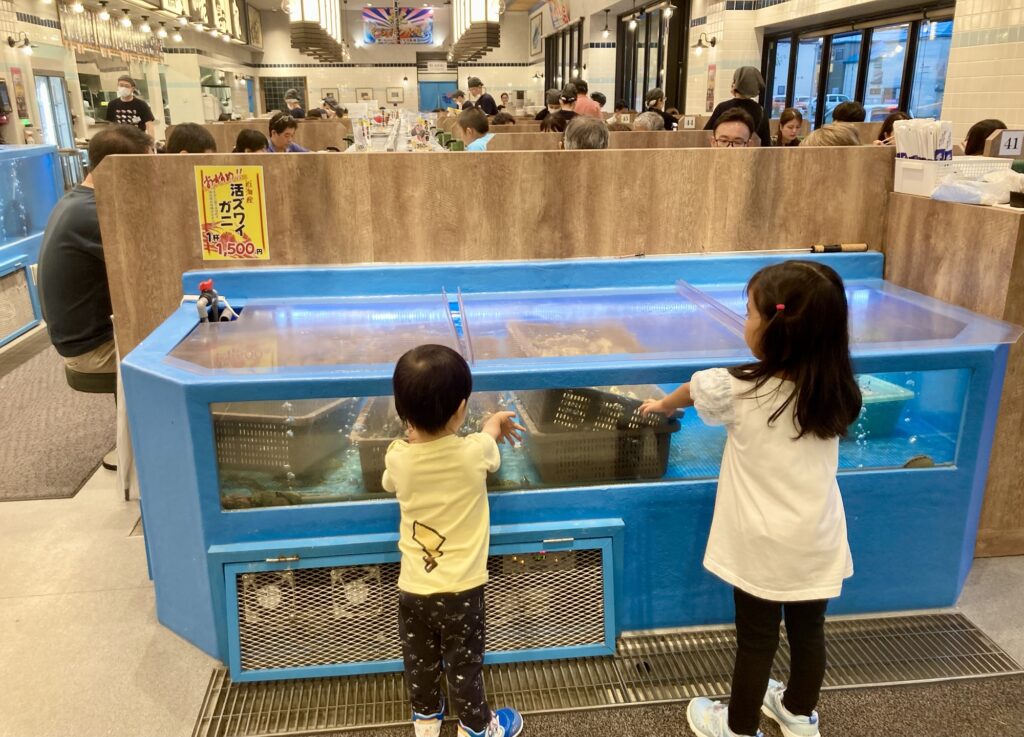 函館 寿司 子供