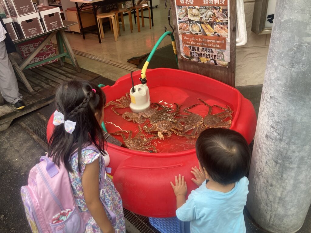 函館 朝市 子供連れ