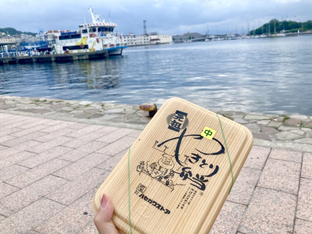 ハセガワストア やきとり弁当 海