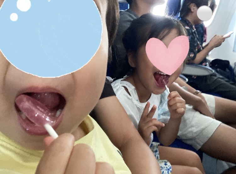 飛行機 で行く 国内旅行 おすすめ ana