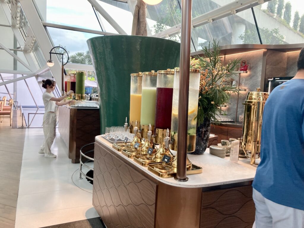 マリーナベイサンズ　スムージー