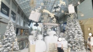 マリーナベイサンズ シャネル